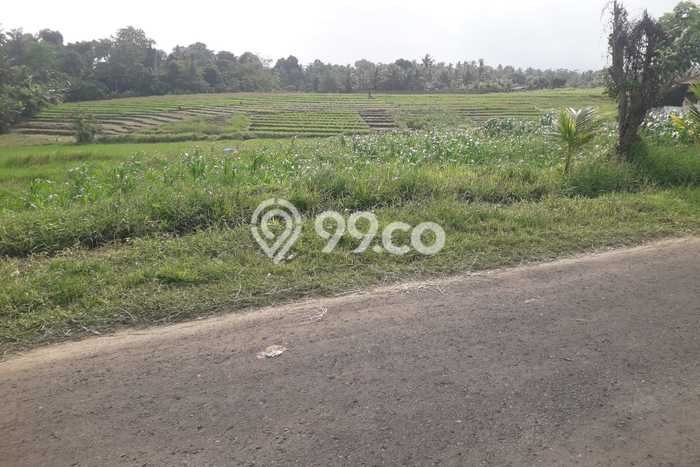 Tanah Dijual di Tabanan Seluas 2100m2 Strategis Tanah Dijual di Tabanan Seluas 2100m2 Strategis