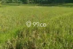 Tanah Kosong Dijual di Tabanan dengan Area 1800m2 Tanah Kosong Dijual di Tabanan dengan Area 1800m2