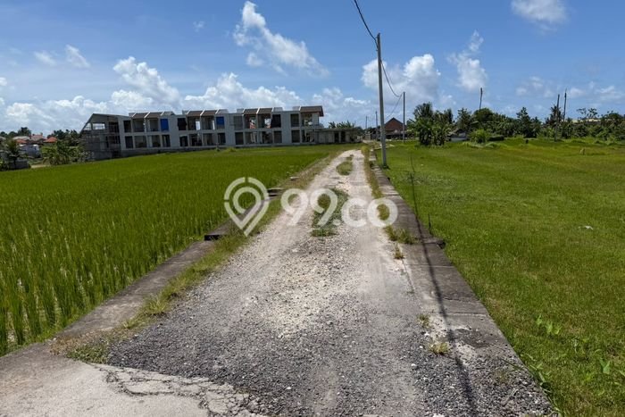 Disewakan Tanah di Nyanyi Badung Seluas 500m2 Disewakan Tanah di Nyanyi Badung Seluas 500m2