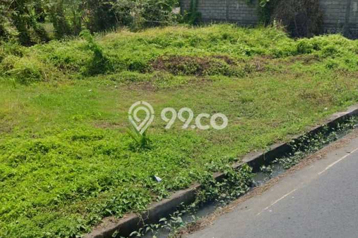 Tanah Kavling Disewakan di Canggu dengan Luas 330m2 Tanah Kavling Disewakan di Canggu dengan Luas 330m2