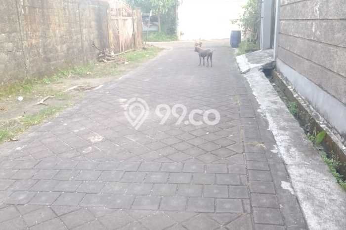 Tanah Kavling Dijual di Badung dengan Spesifikasi 600m2 Tanah Kavling Dijual di Badung dengan Spesifikasi 600m2