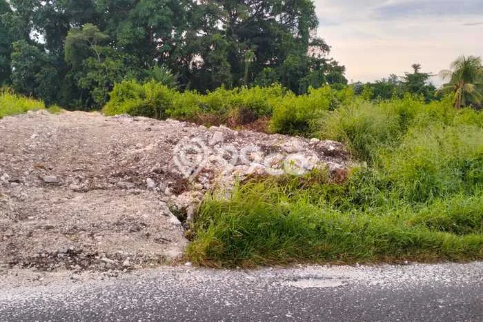 Tanah Dijual di Tabanan Seluas 2825m2 Strategis Tanah Dijual di Tabanan Seluas 2825m2 Strategis
