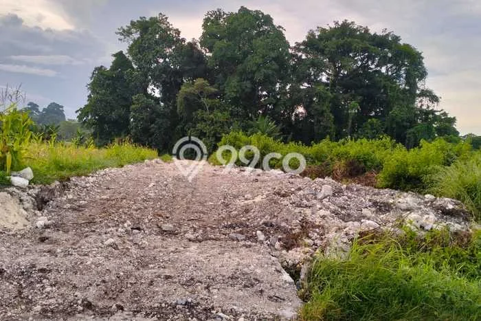 Tanah Dijual di Tabanan Seluas 2825m2 Strategis Tanah Dijual di Tabanan Seluas 2825m2 Strategis