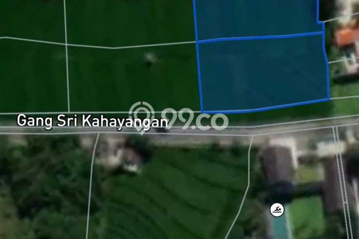 Tanah Kavling Disewakan di Canggu dengan Luas 2400m2 Tanah Kavling Disewakan di Canggu dengan Luas 2400m2