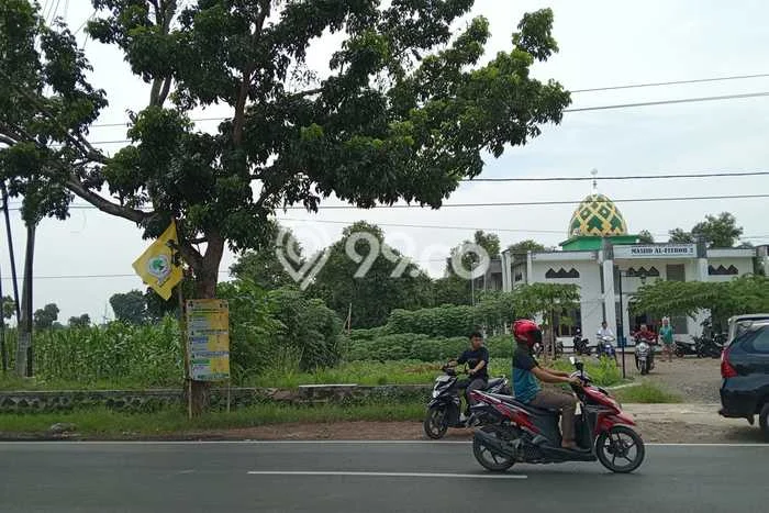 Tanah untuk Dijual Lokasi Cipunagara, Subang Luas 55000m2 SHM Tanah untuk Dijual Lokasi Cipunagara, Subang Luas 55000m2 SHM