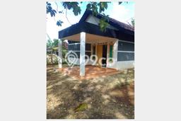 Jual Rumah Murah di Wonosari Gunung Kidul Harga Rp 250 Juta LT 868m2 Jual Rumah Murah di Wonosari Gunung Kidul Harga Rp 250 Juta LT 868m2