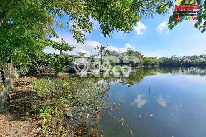 Dijual Tanah di Banyuwangi Banyuwangi Luas 15810m2 SHM Dijual Tanah di Banyuwangi Banyuwangi Luas 15810m2 SHM