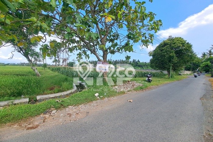 Kavling Tanah Dijual di Banyuwangi, Banyuwangi, Luas 6670m2 Area Strategis Kavling Tanah Dijual di Banyuwangi, Banyuwangi, Luas 6670m2 Area Strategis