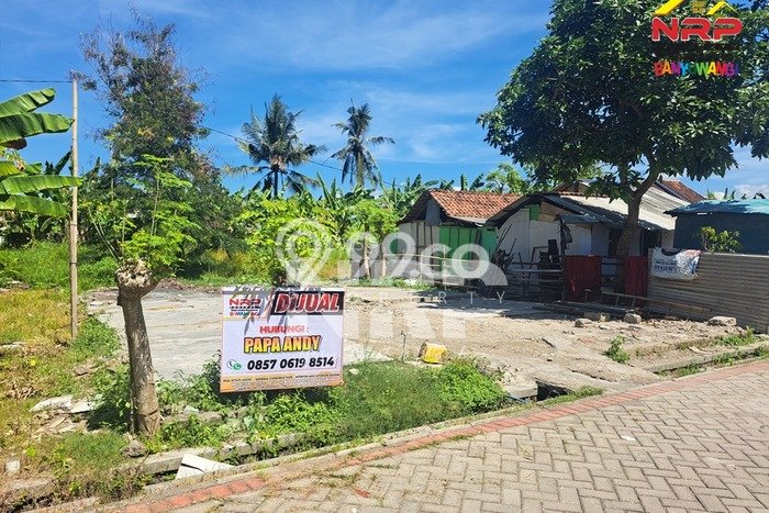 Tanah Dijual Lokasi Banyuwangi, Banyuwangi dengan Luas Tanah 165m2 dan Status SHM Tanah Dijual Lokasi Banyuwangi, Banyuwangi dengan Luas Tanah 165m2 dan Status SHM