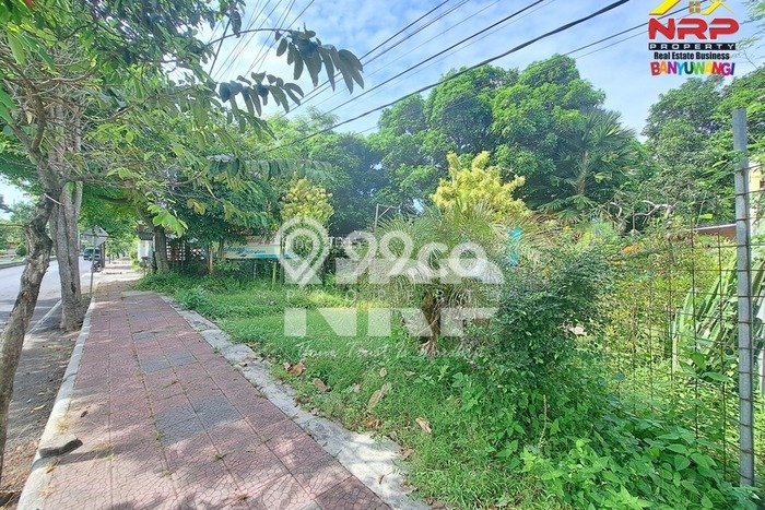 Kavling Tanah di Banyuwangi Dijual Luas 1520m2 Legalitas SHM Kavling Tanah di Banyuwangi Dijual Luas 1520m2 Legalitas SHM
