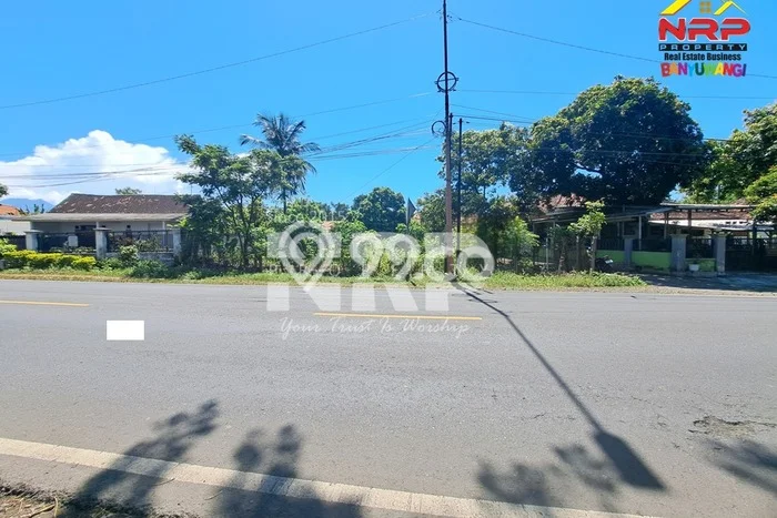 Tanah untuk Dijual di Wongsorejo Banyuwangi Luas 1120m2 Tanah untuk Dijual di Wongsorejo Banyuwangi Luas 1120m2