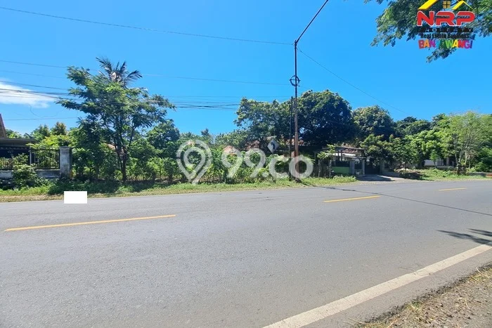 Tanah untuk Dijual di Wongsorejo Banyuwangi Luas 1120m2 Tanah untuk Dijual di Wongsorejo Banyuwangi Luas 1120m2