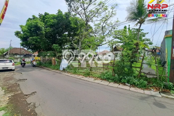 Tanah Dijual Lokasi Banyuwangi Banyuwangi SHM Tanah Dijual Lokasi Banyuwangi Banyuwangi SHM