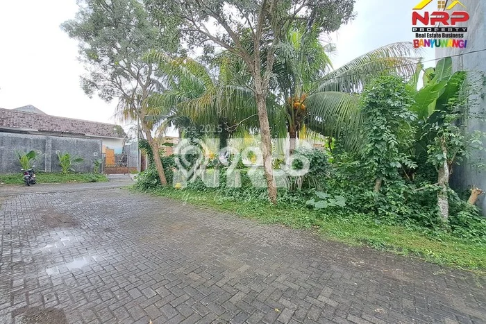 Kavling Tanah Dijual di Banyuwangi Banyuwangi Spesifikasi 147m2 Kavling Tanah Dijual di Banyuwangi Banyuwangi Spesifikasi 147m2