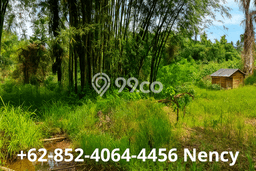 Kavling Tanah di Mapanget Dijual Luas 3150m2 Legalitas SHM Kavling Tanah di Mapanget Dijual Luas 3150m2 Legalitas SHM