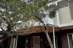 Disewakan Rumah Harga Terjangkau di Gading Serpong Tangerang Punya 2 Kamar Tidur Disewakan Rumah Harga Terjangkau di Gading Serpong Tangerang Punya 2 Kamar Tidur