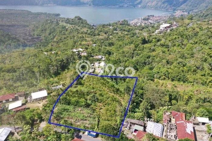 Tanah Kavling untuk Dijual di Kintamani Bangli 5000m2 Tanah Kavling untuk Dijual di Kintamani Bangli 5000m2
