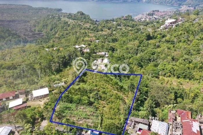 Tanah Kavling untuk Dijual di Kintamani Bangli 5000m2 Tanah Kavling untuk Dijual di Kintamani Bangli 5000m2
