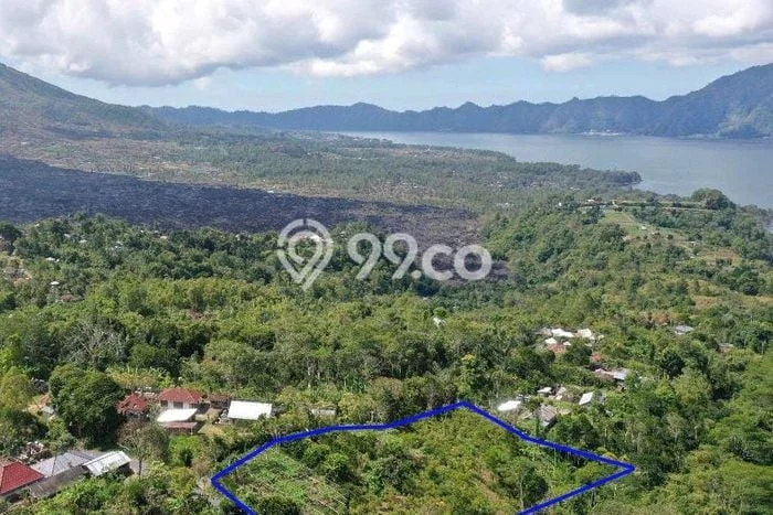 Tanah Kavling untuk Dijual di Kintamani Bangli 5000m2 Tanah Kavling untuk Dijual di Kintamani Bangli 5000m2