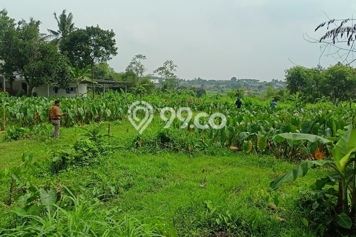 Tanah Kavling Dijual di Bogor dengan Spesifikasi 126m2 Tanah Kavling Dijual di Bogor dengan Spesifikasi 126m2