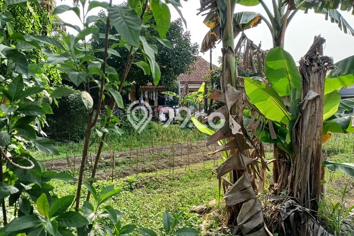 Untuk Dijual Tanah di Ciomas Bogor Luas 110m2 SHM Untuk Dijual Tanah di Ciomas Bogor Luas 110m2 SHM
