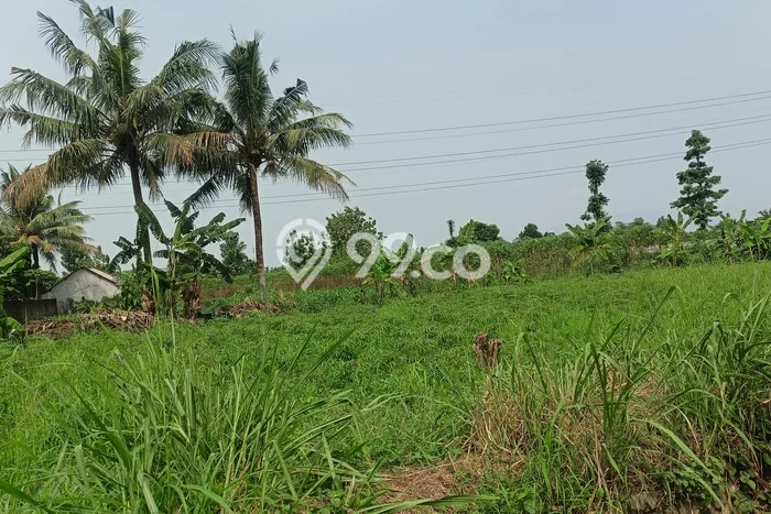 Tanah Siap Bangun Dijual di Bogor Punya Luas 193m2 Tanah Siap Bangun Dijual di Bogor Punya Luas 193m2