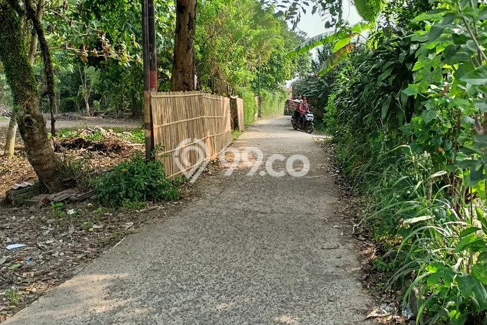 Tanah Kavling untuk Dijual di Ciomas Bogor 109m2 Tanah Kavling untuk Dijual di Ciomas Bogor 109m2