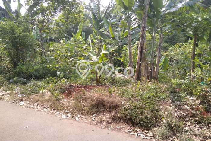Kavling Tanah Dijual di Setu Tangerang Selatan Spesifikasi 170m2 Kavling Tanah Dijual di Setu Tangerang Selatan Spesifikasi 170m2