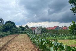 Tanah Dijual di Bogor Seluas 192m2 Strategis Tanah Dijual di Bogor Seluas 192m2 Strategis
