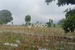 Kavling Tanah Dijual di Tamansari Bogor Spesifikasi 105m2 Kavling Tanah Dijual di Tamansari Bogor Spesifikasi 105m2