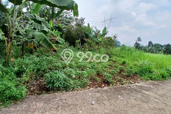 Tanah Dijual Lokasi Tajur Halang, Bogor Luas 133m2 Legalitas Aman Tanah Dijual Lokasi Tajur Halang, Bogor Luas 133m2 Legalitas Aman