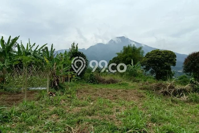 Lahan Investasi Lokasi Tamansari Bogor SHM Lahan Investasi Lokasi Tamansari Bogor SHM