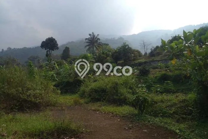 Tanah Dijual Lokasi Cijeruk, Bogor dengan Luas Tanah 98m2 dan Status SHM Tanah Dijual Lokasi Cijeruk, Bogor dengan Luas Tanah 98m2 dan Status SHM