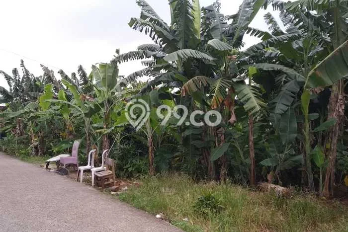 Lahan Kosong Dijual di Depok dengan Area 105m2 Lahan Kosong Dijual di Depok dengan Area 105m2