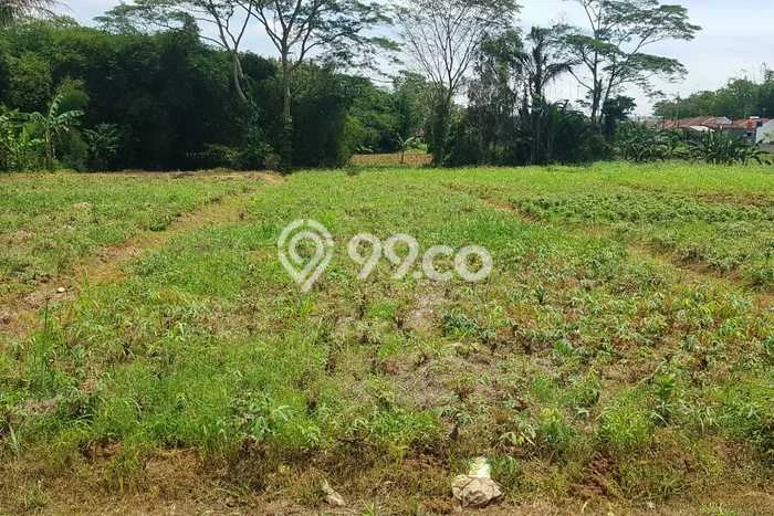 Tanah di Ranca Bungur, Bogor Luas 127m2 Dijual Segera Tanah di Ranca Bungur, Bogor Luas 127m2 Dijual Segera