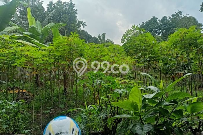 Tanah Dijual di Bogor Seluas 70m2 Strategis Tanah Dijual di Bogor Seluas 70m2 Strategis
