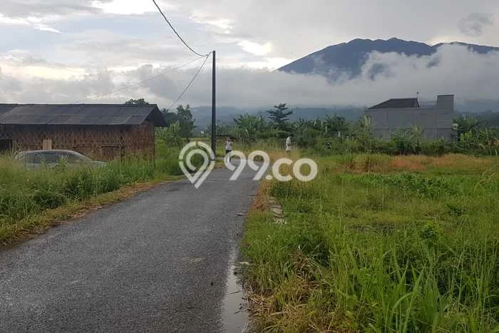 Tanah Kavling untuk Dijual di Cigombong Bogor 124m2 Tanah Kavling untuk Dijual di Cigombong Bogor 124m2