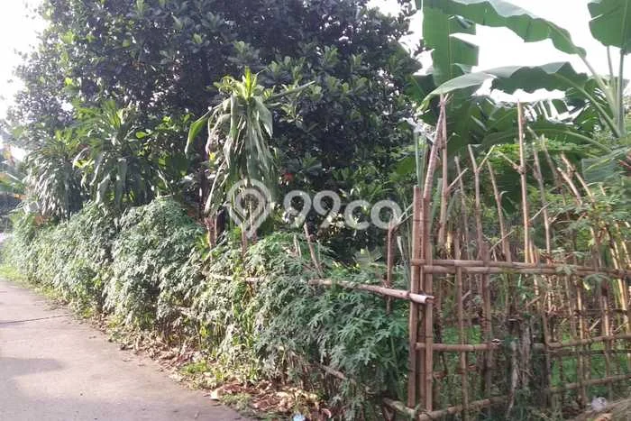 Kavling Tanah Dijual di Tapos Depok Spesifikasi 66m2 Kavling Tanah Dijual di Tapos Depok Spesifikasi 66m2
