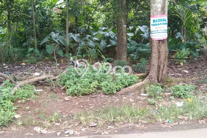 Kavling Tanah di Cibinong Dijual Luas 116m2 Legalitas SHM Kavling Tanah di Cibinong Dijual Luas 116m2 Legalitas SHM