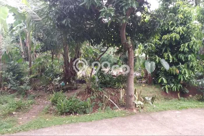 Tanah Dijual Area Strategis di Cinangka Depok 120m2 Tanah Dijual Area Strategis di Cinangka Depok 120m2
