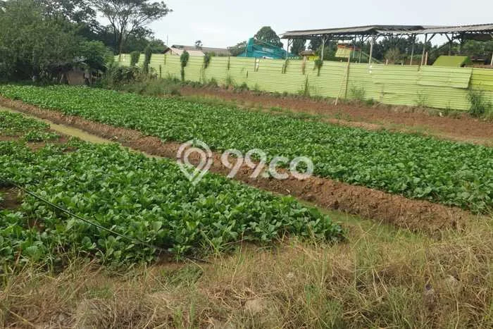 Kavling Tanah Dijual di Tangerang, Tangerang, Luas 10000m2 Area Strategis Kavling Tanah Dijual di Tangerang, Tangerang, Luas 10000m2 Area Strategis