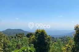 Tanah Dijual di Buleleng Seluas 14000m2 Strategis Tanah Dijual di Buleleng Seluas 14000m2 Strategis