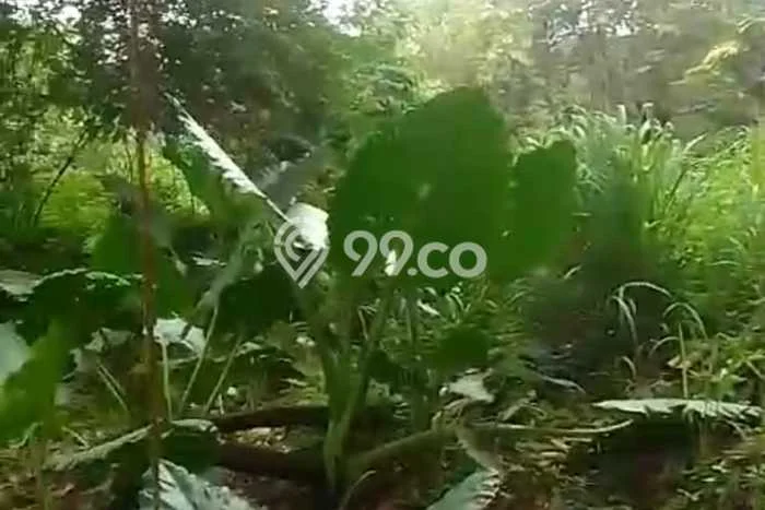 Tanah Dijual di Bandung Seluas 1525m2 Strategis Tanah Dijual di Bandung Seluas 1525m2 Strategis