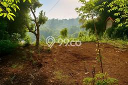 Dijual Tanah di Banjaran Bandung Luas 980m2 SHM Dijual Tanah di Banjaran Bandung Luas 980m2 SHM