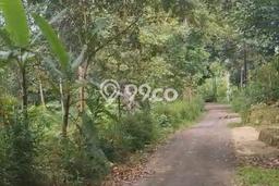 Untuk Dijual Tanah di Gunung Pati Semarang Luas 730m2 SHM Untuk Dijual Tanah di Gunung Pati Semarang Luas 730m2 SHM