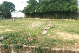 Tanah di Cakung, Jakarta Timur Luas 180m2 Dijual Segera Tanah di Cakung, Jakarta Timur Luas 180m2 Dijual Segera