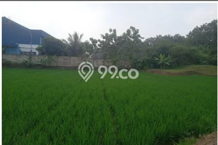 Kavling Tanah Dijual di Campaka Purwakarta Spesifikasi 6026m2 Kavling Tanah Dijual di Campaka Purwakarta Spesifikasi 6026m2