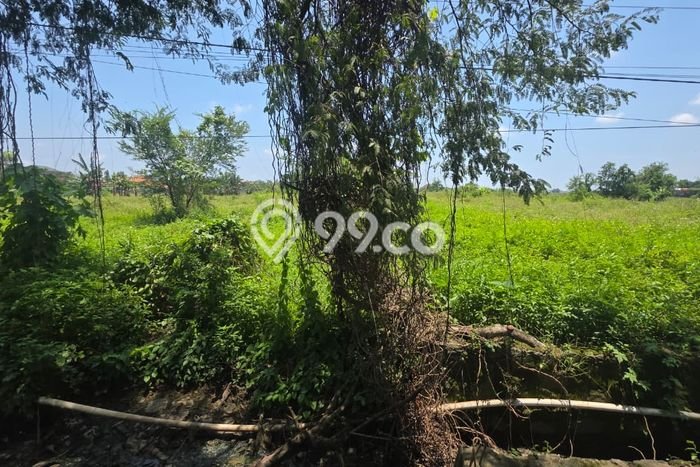 Jarang Ada! Tanah di Kaliwungu Punya Luas 16000m2 SHM Jarang Ada! Tanah di Kaliwungu Punya Luas 16000m2 SHM