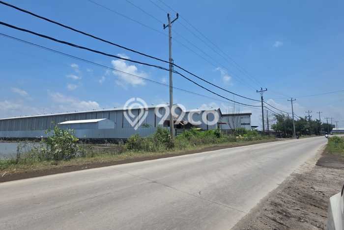 Lahan Investasi Lokasi Kaliwungu Semarang SHM Lahan Investasi Lokasi Kaliwungu Semarang SHM