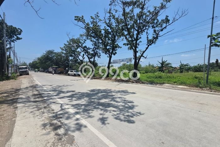 Jarang Ada! Tanah di Kaliwungu Punya Luas 16000m2 SHM Jarang Ada! Tanah di Kaliwungu Punya Luas 16000m2 SHM